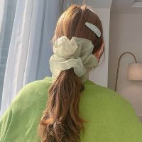 【CW】 Korea Big Size Organza Hair Scrunchies Elastic Bands Headwear Ponytail Holder Tie Accessories