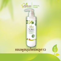 บ้านหมอละออง แชมพูสมุนไพร พลูคาว แอ๊ดวานซ์ 250ml 1 ขวด Plu Kaow Herbal Advanced Shampoo แชมพูพลูคาว PluKaow บ้านหมอละออง ของใหม่ พร้อมส่ง มีสถานที่ผลิตถูกต้อง ได้รับเลขทะเบียนการผลิตตามกฎหมาย สูตรตำรับสมุนไพรพลูคาว ทองพันชั่ง รางจืด พญายอ ซองแมว