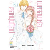 Made in Honey เมดจอมเพ้อเจอหนุ่มป๊อป เล่ม 1-6 มือ 1 พร้อมส่ง