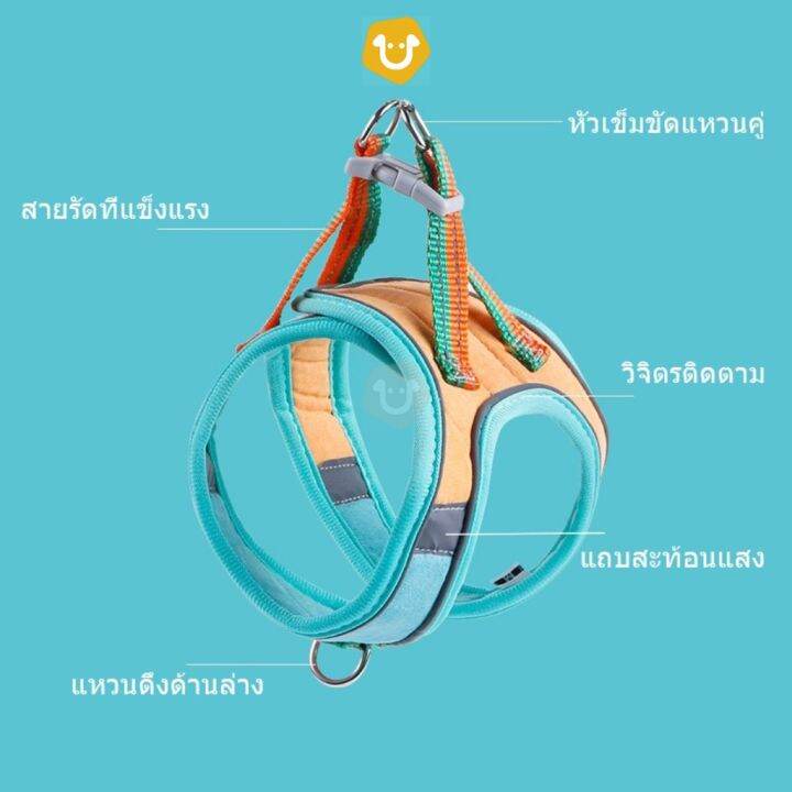 5-0-upets-เสื้อรัดอกแมว-พร้อมสายจูง-สายจูงแมว-เชือกจูงแมว-สายจูงรัดอกสัตว์เลี้ยง-สินค้าใหม่เข้าสู่ตลาด