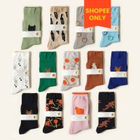 [WARMGREY TAIL] SOCKS 3P SET dki