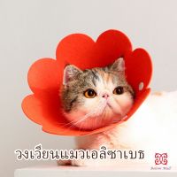 คอลล่าแมว ปลอกคอดอกไม้ ปลอกคอกันเลีย คอลล่าสุนัข  Cat coll