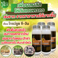 โปรพิเศษ 4 ขวด น้ำยาเร่งรากต้นไม้ แบบผงไม่ต้องผสมเยอะใช้คุ้ม สารสกัดสูตรเข้มข้น โกรว์รูธ จี-วัน G1 เร่งใบ กระตุ้นการแตกใบอ่อน แช่เมล็ดเร่งรากได้ดี ผลิใบใหม่กระจาย รากแข็งแรง ของแท้ พร้อมส่งทันที