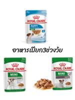 Royal Canin Mini puppy อาหารเปียก 3 ช่วงวัย ลูก1เดือน-11เดือน/Mini Adult 1ปี-11ปี/Mini12+ 12เดือนขึ้นไป