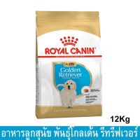 [12kg] อาหารลูกสุนัขโกลเด้น Royal Canin Golden Retriever Puppy สำหรับลูกสุนัขพันธุ์โกลเด้นรีทรีฟเวอร์ อายุ 2- 15 เดือน