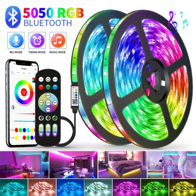 1M-30M USB Led Strip Lights RGB Infrared Bluetooth Control Luces Luminous Decoration For Living Room 5050 Ribbon Lighting Lamp LED Strip Lighting