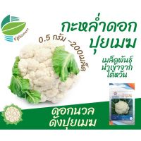 เมล็ด กะหล่ำดอก F1 (Cauliflower)​ พันธุ์ ปุยเมฆ จำนวน 200 เมล็ด นำเข้าจากไต้หวัน