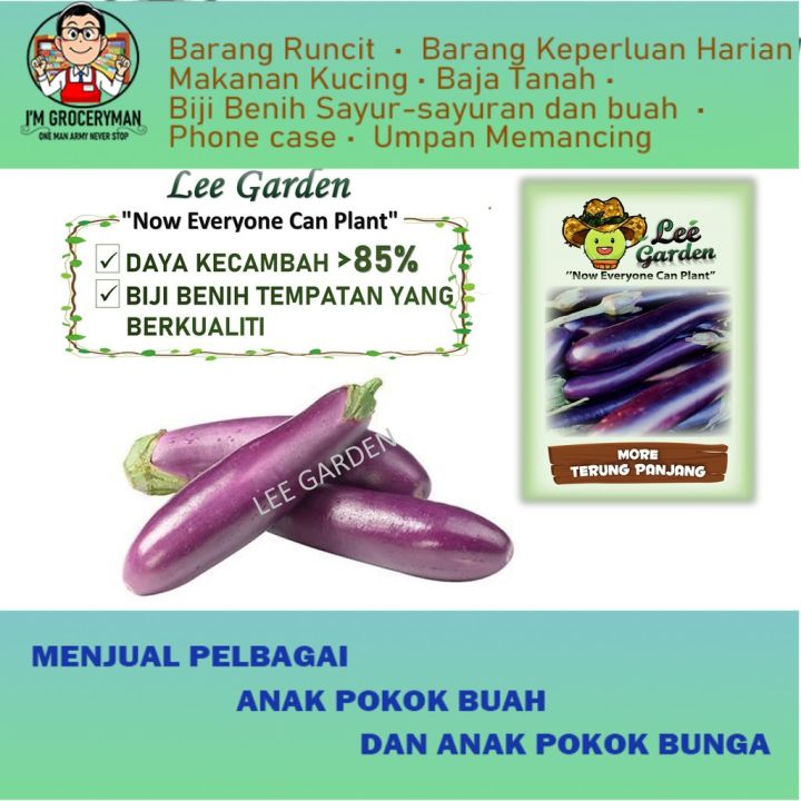 Lee Garden Biji Benih More Terung Panjang Lee Garden More Long Eggplant Seed Vegetable Fruit 5857