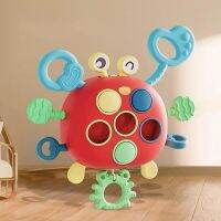 Silicone Pull Toys Crab Montessori Pull String Finger Grasp Training Sensory Toys Baby Shape Color Early Learning Education Toy