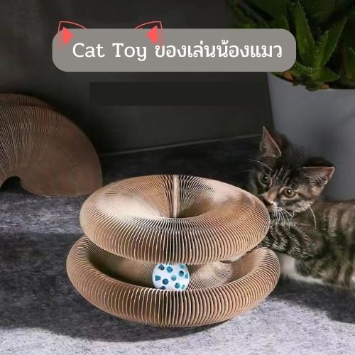 ของเล่นแมว-ลับเล็บแมว-ของเล่นเสริมพัฒนาการน้องแมว-ของเล่นแมวเด็ก-ของเล่นแมวโต-ที่ฝนเล็บแมว-ของเล่นแมวเด้งดึ้ง