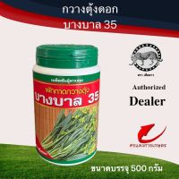 เมล็ดพันธุ์ กวางตุ้งดอกบางบาล 35 500g