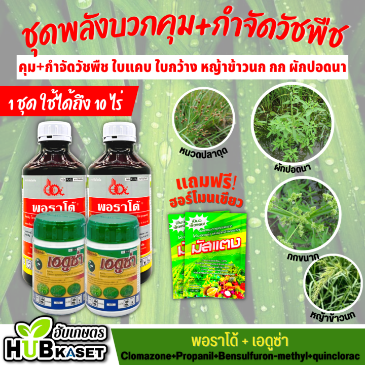 ชุด2พลังบวก พอราโด้+เอดูซ่า 1ลิตร*2+100กรัม*2 (โคลมาโซน+โพรพานิล+ควินคลอแรก+เบนซัลฟูรอน)คุม+กำจัดวัชพืช ฟรีมัสแตง2ซอง