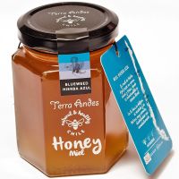 สั่งเลย Instock ? TERRA ANDES BLUEWEED HONEY น้ำผึ้งคุณภาพนำเข้าจากชิลี 240 กรัม ?