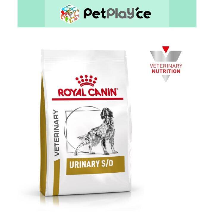 Royal 2024 canin dd