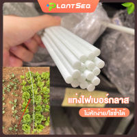 GLASS FIBER TUBE (แท่งกลมตัน) 4/6/8mm ไม้ค้ำต้นไม้ หลักไม้เลื้อย เสาต้นไม้ ไม้ค้ำยันต้นไม้ ค้างต้นไม้ ซุ้มต้นไม้ ค้างผัก โรงเก็บฉนวน ที่กำบังฝน ที่พักพิงแมลง ม่านบังแดด ไม่เป็นสนิม ไม่แตกหัก ไม่แตก ความต้านทานต่อกรดและด่าง