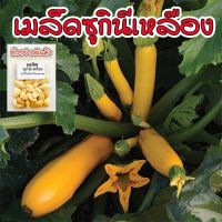 ซูกินีเหลือง  zucchini yellow  เมล็ดนำเข้าเมล็ดพันธุ์ บรรจุ 10-30 เมล็ด (10 เเถม 1 คละได้)