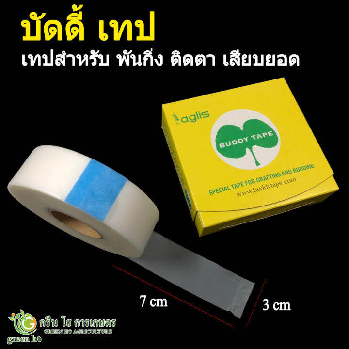 BUDDY TAPE บัดดี้เทป เทปสำหรับติดตา ต่อกิ่ง เสียบยอด (ยกม้วน) Lazada