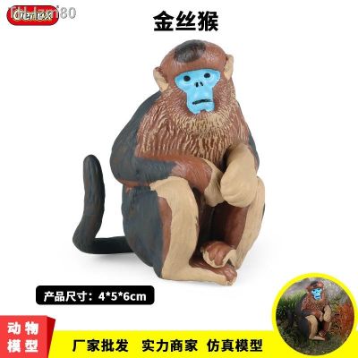 🎁 ของขวัญ The solid model child primate golden monkeys wildlife toy chimpanzees ape monkey
