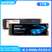 GUDGA SSD NVMe M2 1เทราไบต์ Ssd ฮาร์ดไดรฟ์ Ssd ไดรฟ์ M.2 2280 PCIE 3.0X4ภายใน1TB โซลิดสเตทไดรฟ์ภายในสำหรับแล็ปท็อปเดสก์ท็อป Zlsfgh