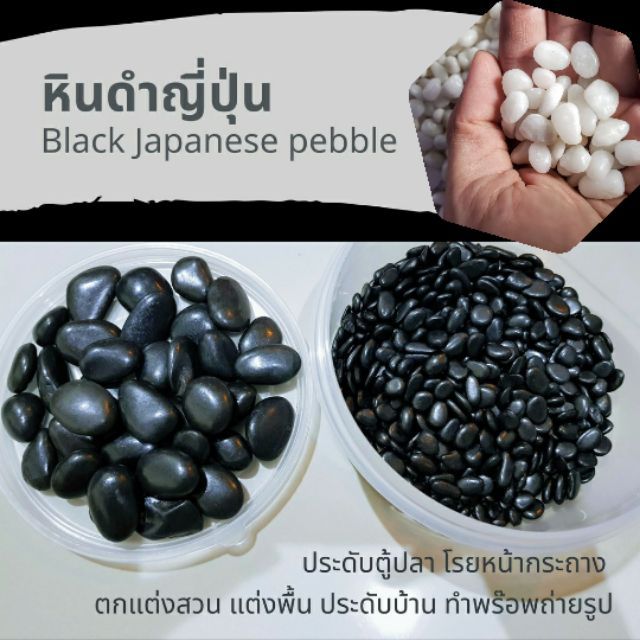 หินดำญี่ปุ่น-และ-หินขาวเงา-500-กรัม-black-japanese-pebble-หินดำเงา-เหมาะประดับตู้ปลา-โรยหน้ากระถาง-จัดสวน-รองพื้นทางเดิน