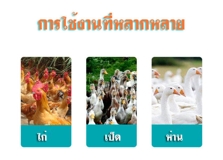 กล่องสำหรับขนส่งไก่-เป็ด-ห่าน-ตะกร้าพลาสติกขนย้ายสัตว์ปีก-2-ประตู