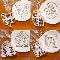 ELEGANT Creative Brain Heart Liver Lung Kidney Large Intestine Medical Science Pattern Home Baking Biscuit Cutter Fondant Cookie Mold