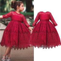 Autumn Clothes Little Girl Bow Prom Gown Birthday Pageant Evening Costume Wedding Children Bridesmaid Christmas Kids Lace Dress