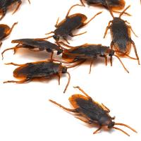 【LZ】✐❃⊕  10pcs Fake Rubber Cockroach Roach Bug Halloween Special Lifelike Model Simulation April Fools Day Prank Funny Trick Joke Toys