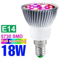 โคมไฟ Grow Led สำหรับโรงงาน E27สเปกตรัมเต็มรูปแบบ E14โคมไฟฟิโต220V โคมไฟเรือนกระจก18W 28W 30W 50W 80W 100W เมล็ดดอกไม้ไฟโต