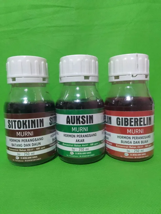 Sitokinin Auksin Giberelin 250 Ml Giberlin | Lazada Indonesia