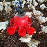 20Pcs Automatic Poultry Drinker Bowl Chicken Water Cups Duck Drinking Machine Hanging Drinking Bowls Water Dispenser