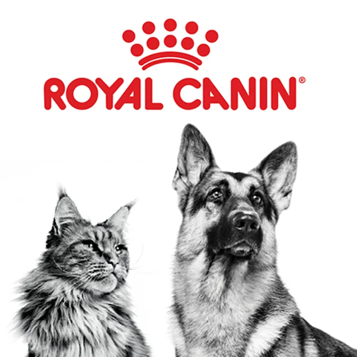 หมดอายุ11-24-royal-canin-vet-gastrointestinal-high-fibre-1-kg-สำหรับสุนัขที่มีอาการท้องผูก-มีความผิดปกติที่ลำไส้ใหญ่