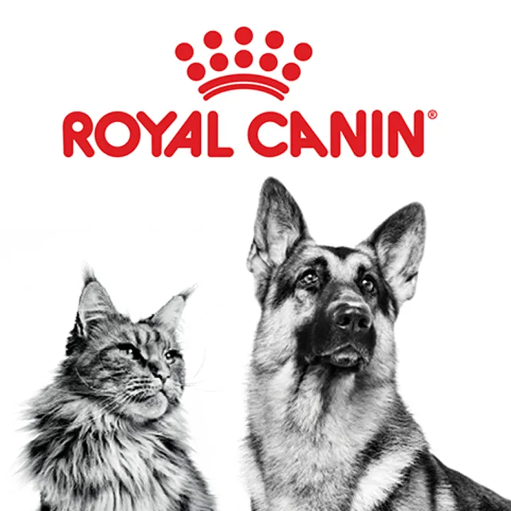 หมดอายุ9-24-royal-canin-vet-skin-care-adult-11-kg-อาหารบำรุงขนและผิวหนังสำหรับสุนัข