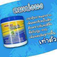 ปุ๋ยลมเบ่ง 1 กระปุก