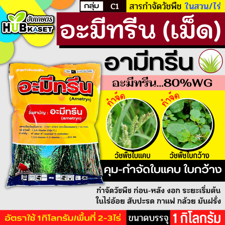 อะมีทรีน-ตราช้างแดง-1กิโลกรัม-อะมีทรีน80-wg-คุมก่อน-หลังงอกหญ้าใบแคบ-ใบกว้าง