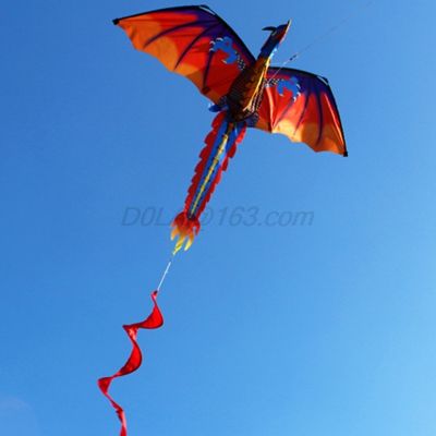 【cw】New 3D Dragon Kite With Tail Kites For Kites Flying Outdoor 100m Kite Line ！