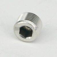 3/8 "Npt ชาย Ss304สแตนเลส Countersunk ปลั๊กท้ายปลายบากท่อเบ้าปลั๊กหกหัวภายใน