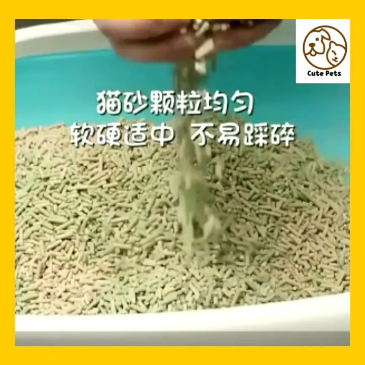 Top 1 Kucing Murah Wangi Cat Litter Tofu Premium Natural Tofu Cat