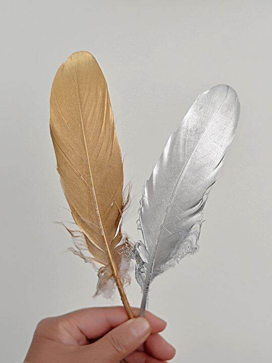 high-end-gold-sprayed-gradient-feather-retro-golden-feather-simple-wind-photo-creative-props-gumei-photography-decoration-decoration