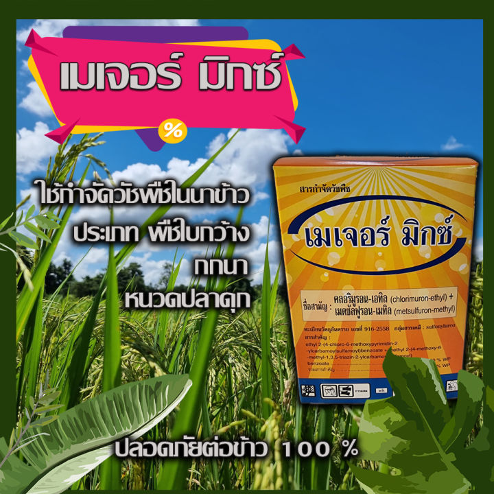 สารกำจัดวัชพืช-สารกำจัดกก-สารกำจัดวัชพพืชใบกว้าง-ในนาข้าว-เมเจอร์มิกซ์