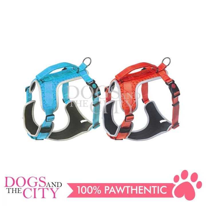 BM GP184004H No Pull Dog Harness with Leash Clip and Handle Adjustable