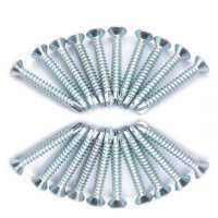 50Pcs M4.2สกรูหัวแบน Self-Drilling Self-Tapping สกรูเจาะหางสกรูชุด Fastener Tornillos