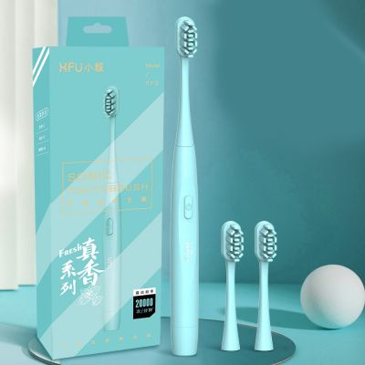 2022 Electric Toothbrush Sonic Replacement Brush Heads Battery Sonic Teeth Brush Deep Cleaning Included Soft bristle Waterproof
