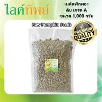 เม็ดฟักทอง ดิบ {ขนาด 1,000 กรัม} เกรดพรีเมี่ยม นำเข้า ใหม่ สด อบทาน หรือ นำไปทำขนม เค้ก เบอเกอรี่