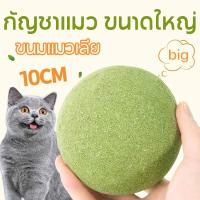 【ForeverBest】10CM แคทนิปบอล กัญชาแมว catnip ball ขนมแมวเลีย สมุนไพรแมวเลีย