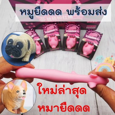 [COD] หมูยืดดดด สกุชชี่ พร้อมส่งจากไทย ราคาถูก ของเล่นเด็กและผู้ใหญ่คลายเครียด