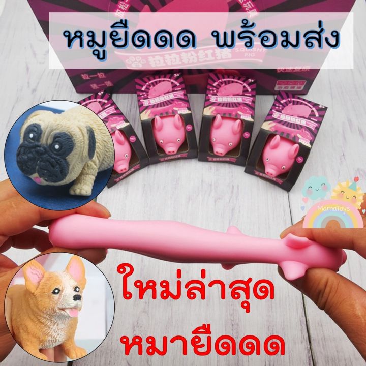 cod-หมูยืดดดด-สกุชชี่-พร้อมส่งจากไทย-ราคาถูก-ของเล่นเด็กและผู้ใหญ่คลายเครียด