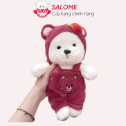 Gấu Teddy Dâu Mặc Áo Yếm Mini Nhí 30cm SALOME tp HCM, Thú Teddy Cao Cấp