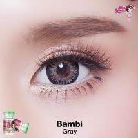 Bambi Gray สีเทา เน้นขอบ บิ๊กอาย เน้นขอบดำ ตาโต Pretty Doll ฝาเขียว ค่าสายตา สายตาสั้น สายตาปกติ แฟชั่น ตัดขอบดำ