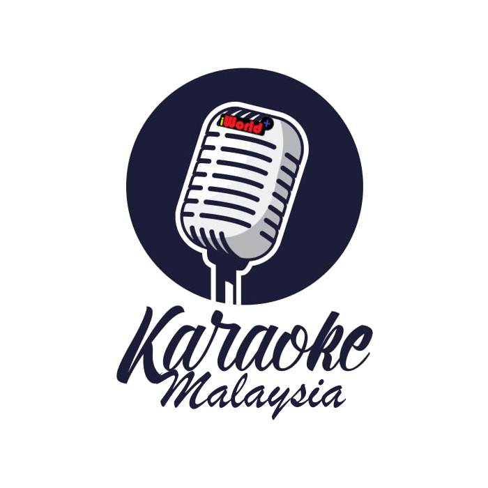 Home KTV Karaoke System customised package 8 10 12 inch full range